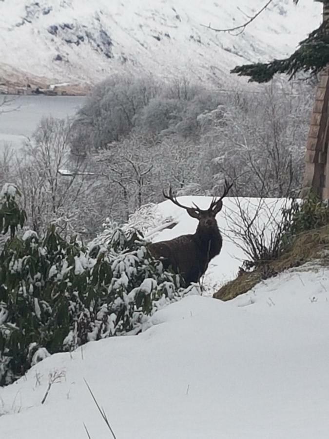 Villa The Armoury Glenfinnan Exterior foto